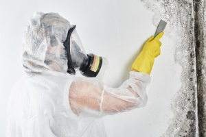 How Black Mold Sickness Can Turn Your Life Upside Down: Understanding the Dangers and Seeking Solutions